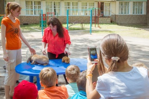 Смоленский зоопарк в гостях у детского лагеря 