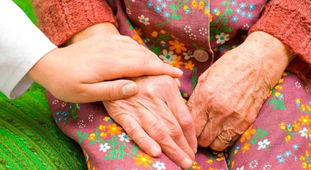 Администрация Смоленска продолжает системную работу по поддержке старшего поколения