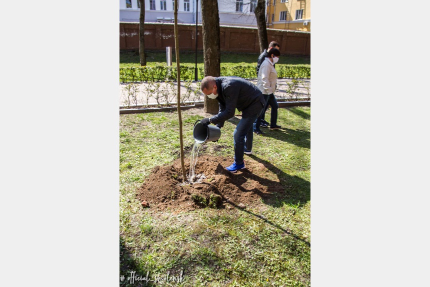 Школьники должны были посадить 200 деревьев они. Фото аллея славы высадка новых деревьев.